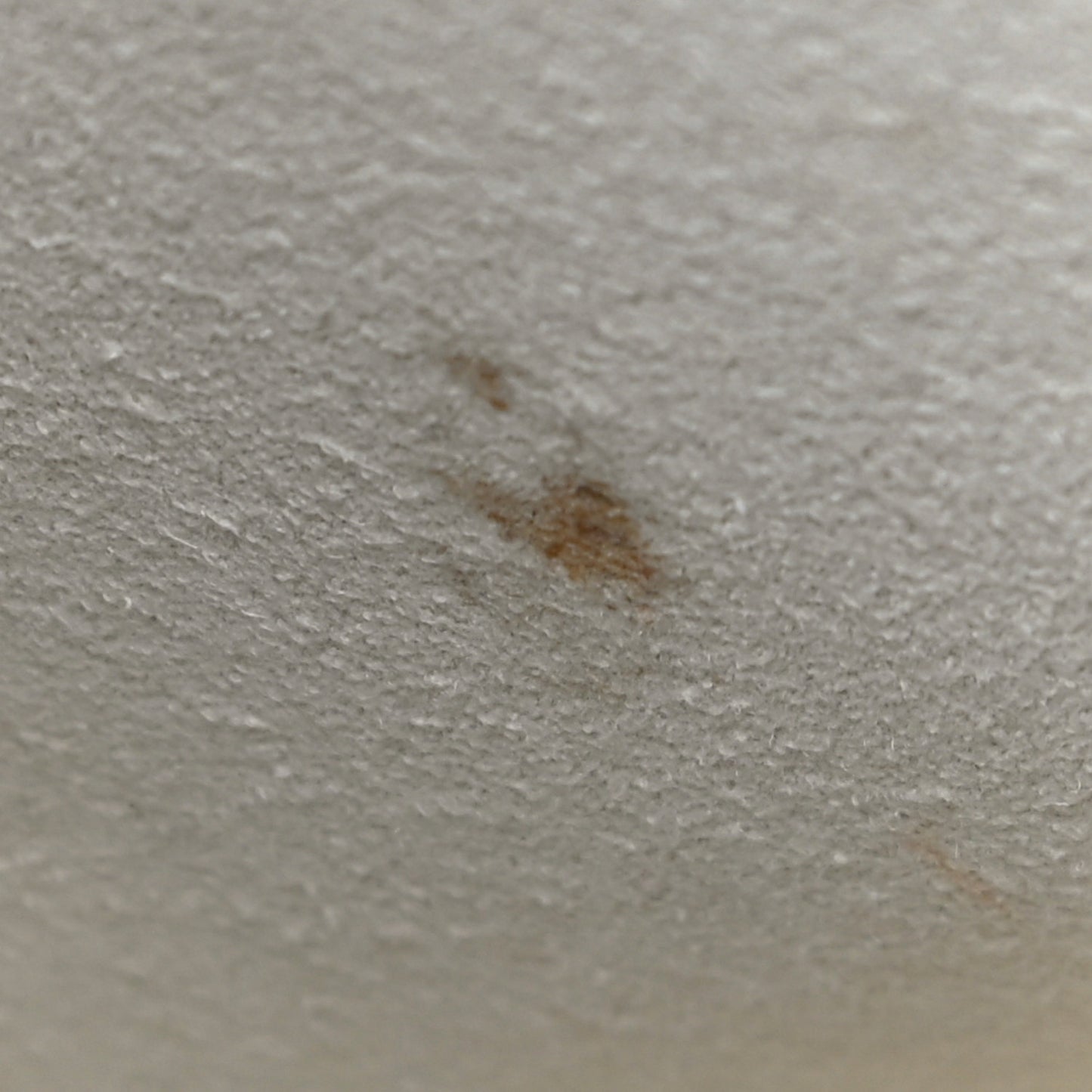 Damier Azur Summer Trunks Neonoe