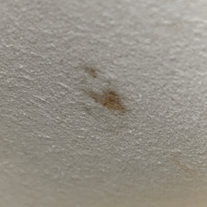 Louis Vuitton Damier Azur Summer Trunks Neonoe 14 of 17