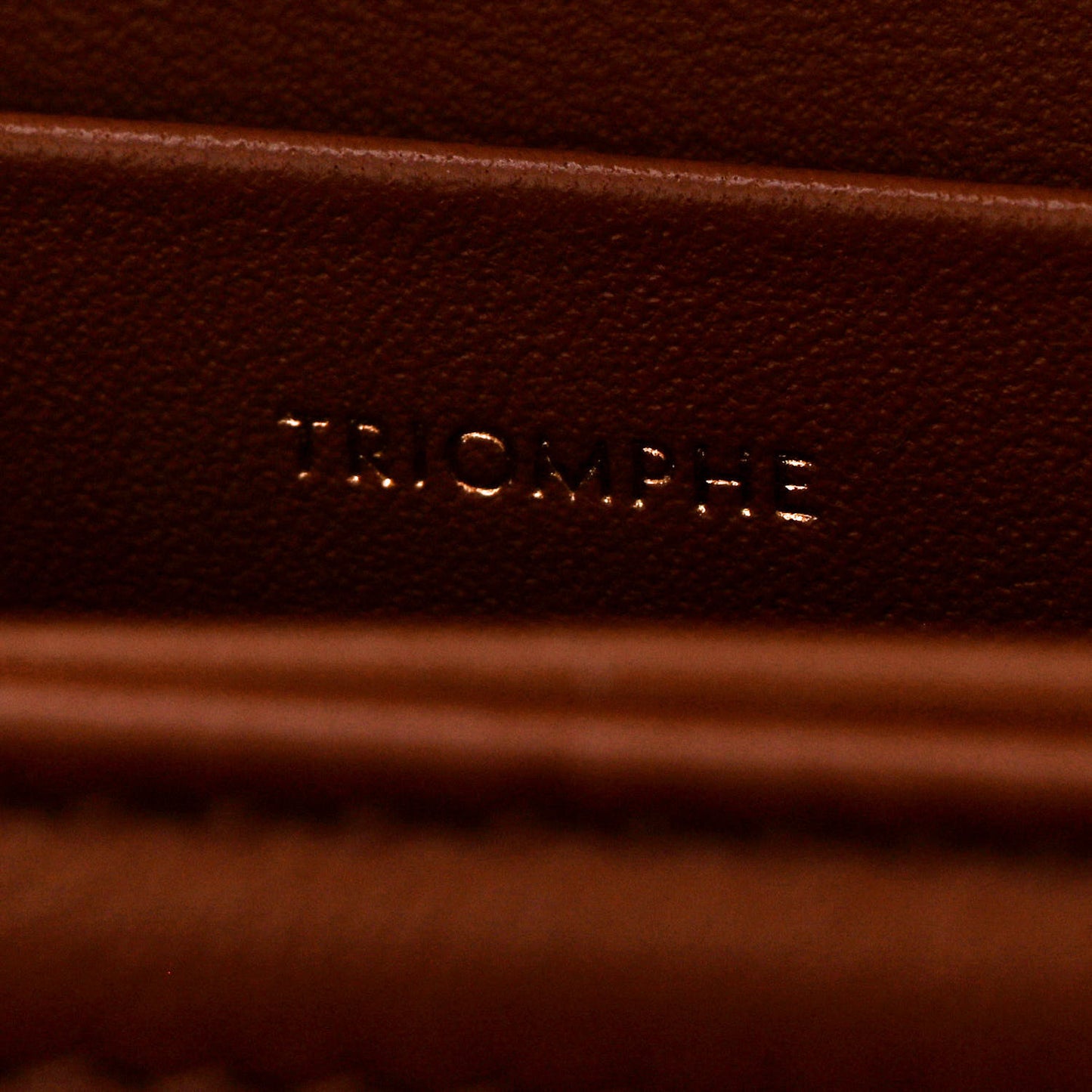 Triomphe Canvas Calfskin Medium Triomphe Bag Tan