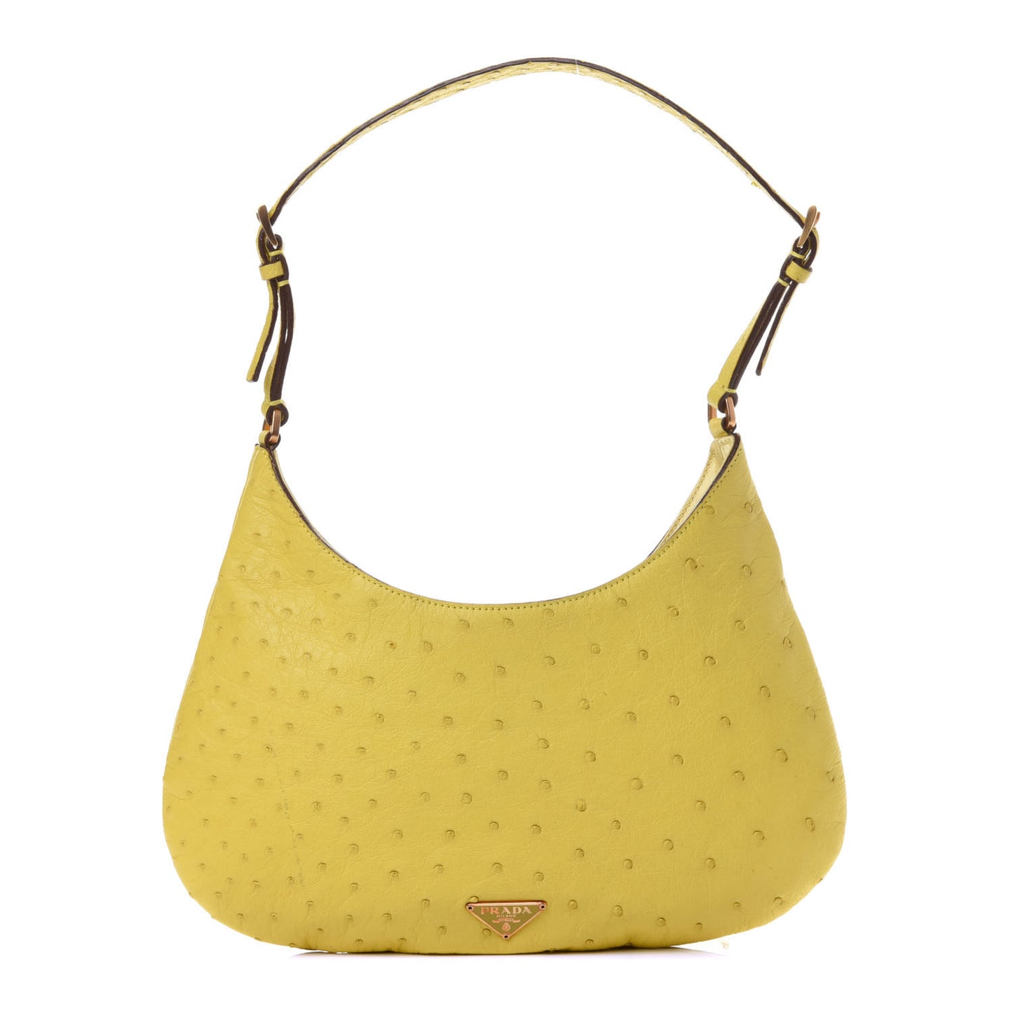 Ostrich Hobo Polline