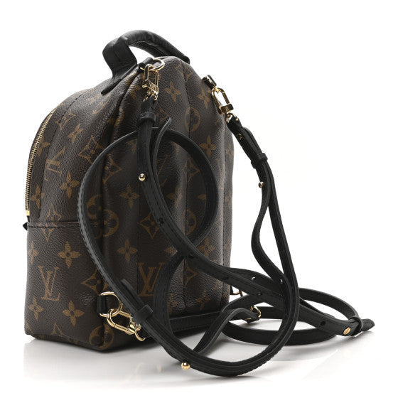 Louis Vuitton Monogram Palm Springs Backpack Mini 3 of 7