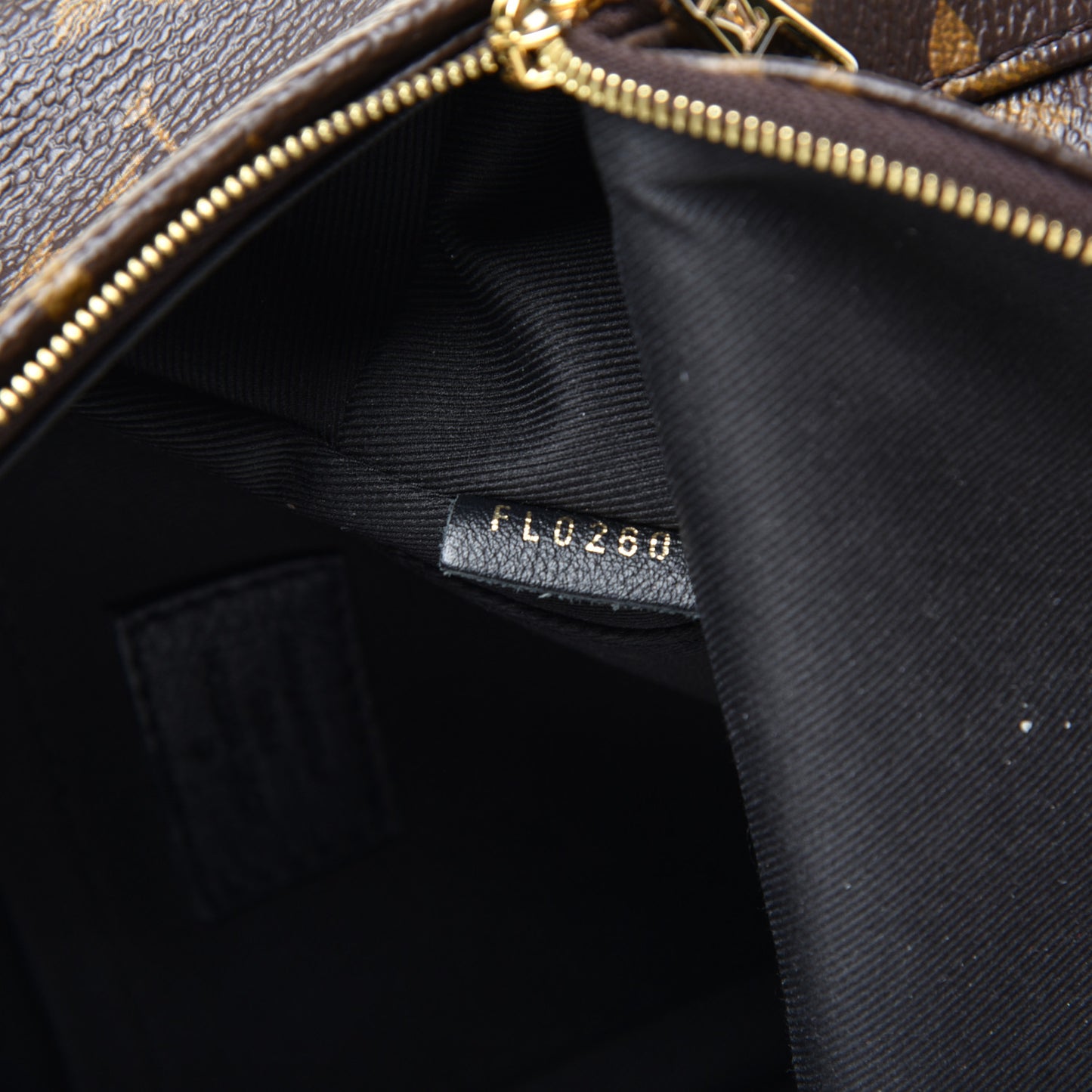 Monogram Palm Springs Backpack Mini