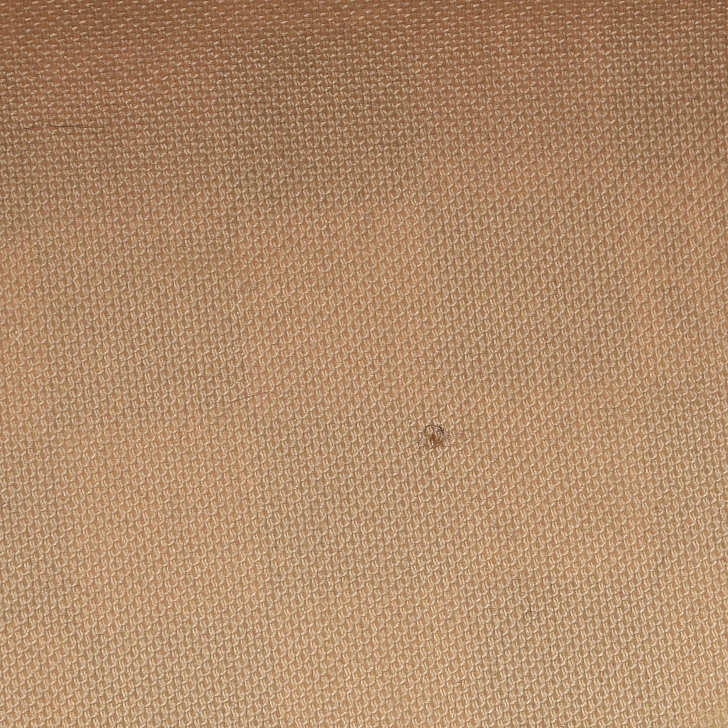 Damier Azur Speedy 30