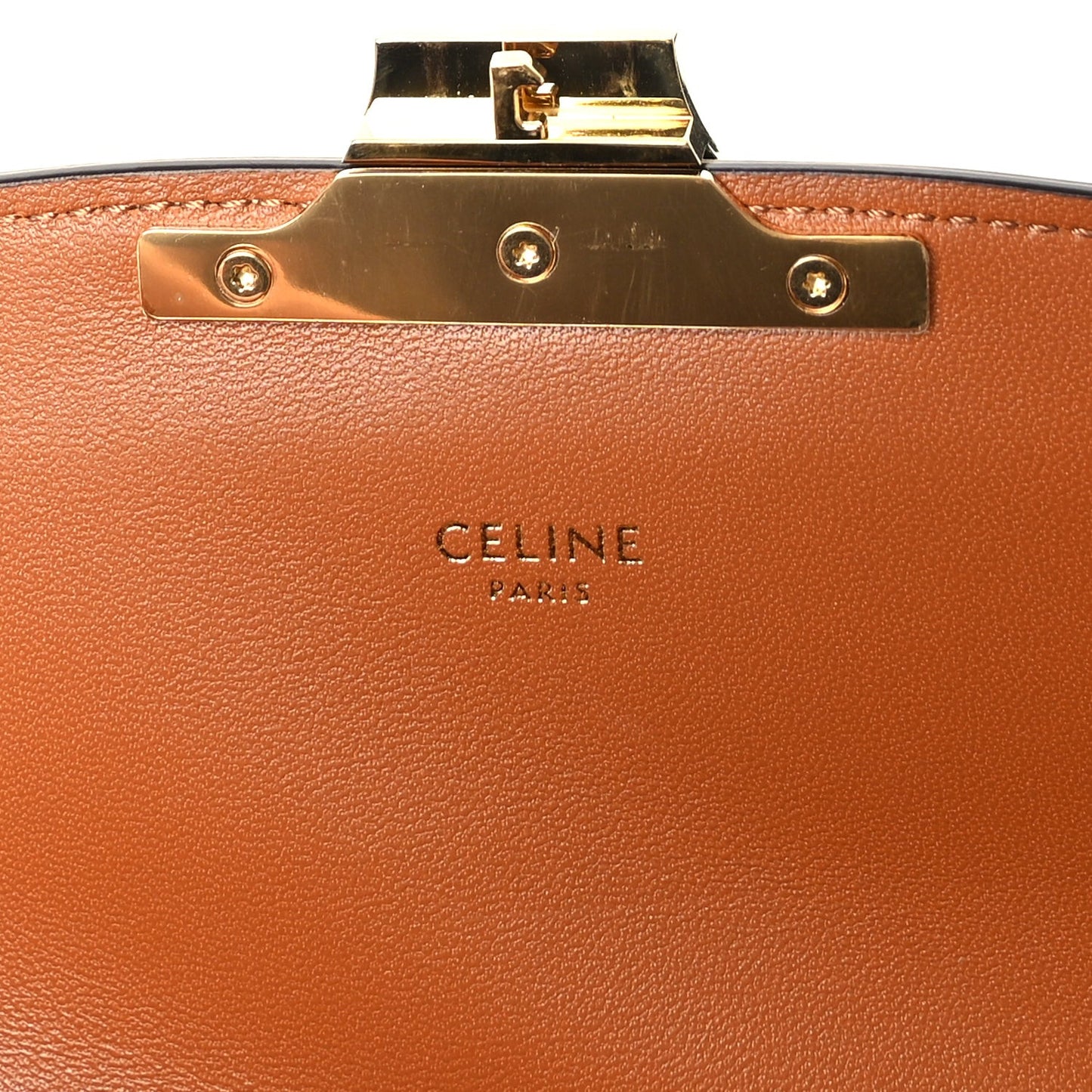 Calfskin Triomphe Canvas Teen Triomphe Bag Tan