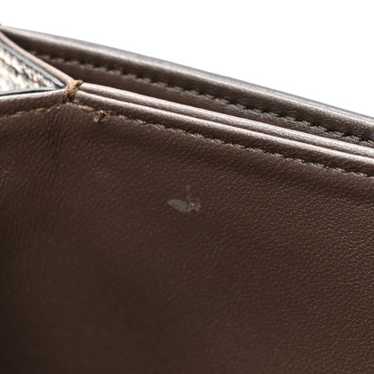 Celine Lizard Teen Triomphe Natural 11 of 11