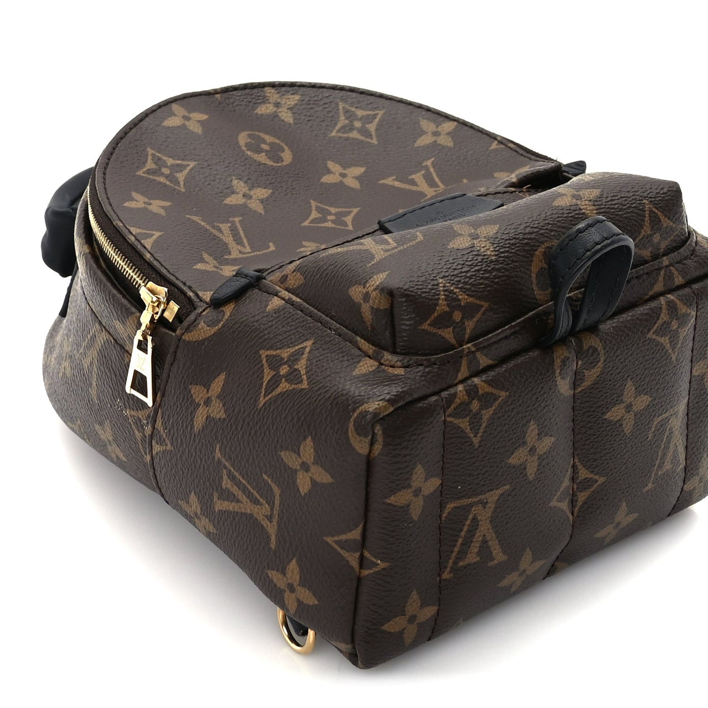 Monogram Palm Springs Backpack Mini Black