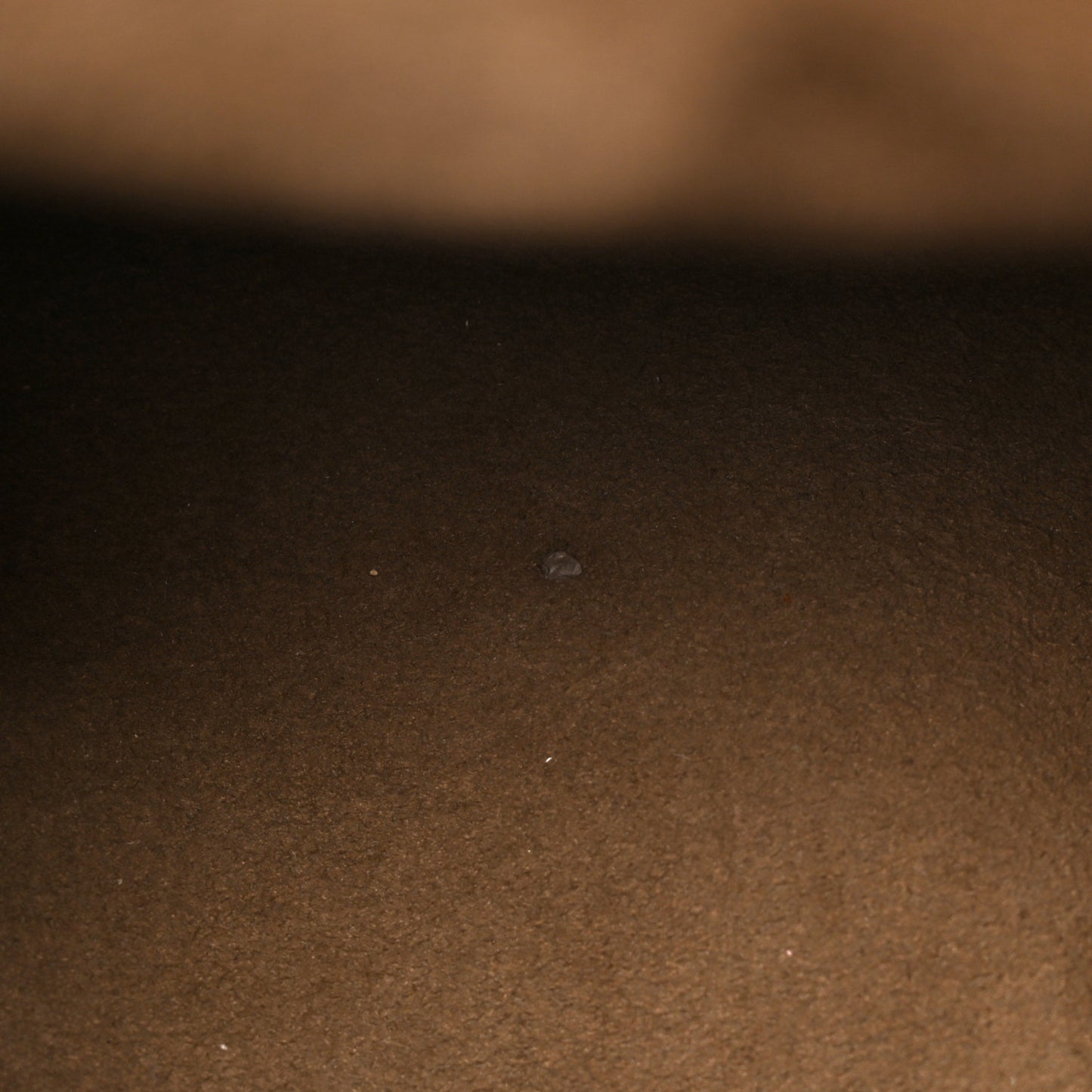 Monogram Multicolor Speedy 30 Black