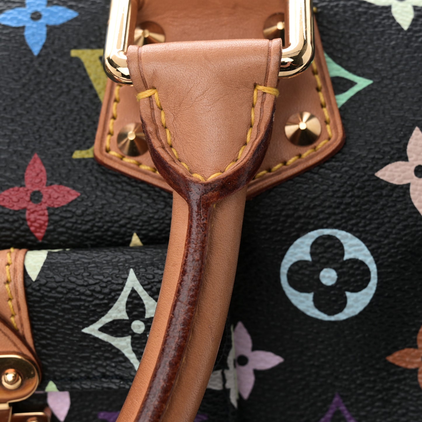 Monogram Multicolor Speedy 30 Black