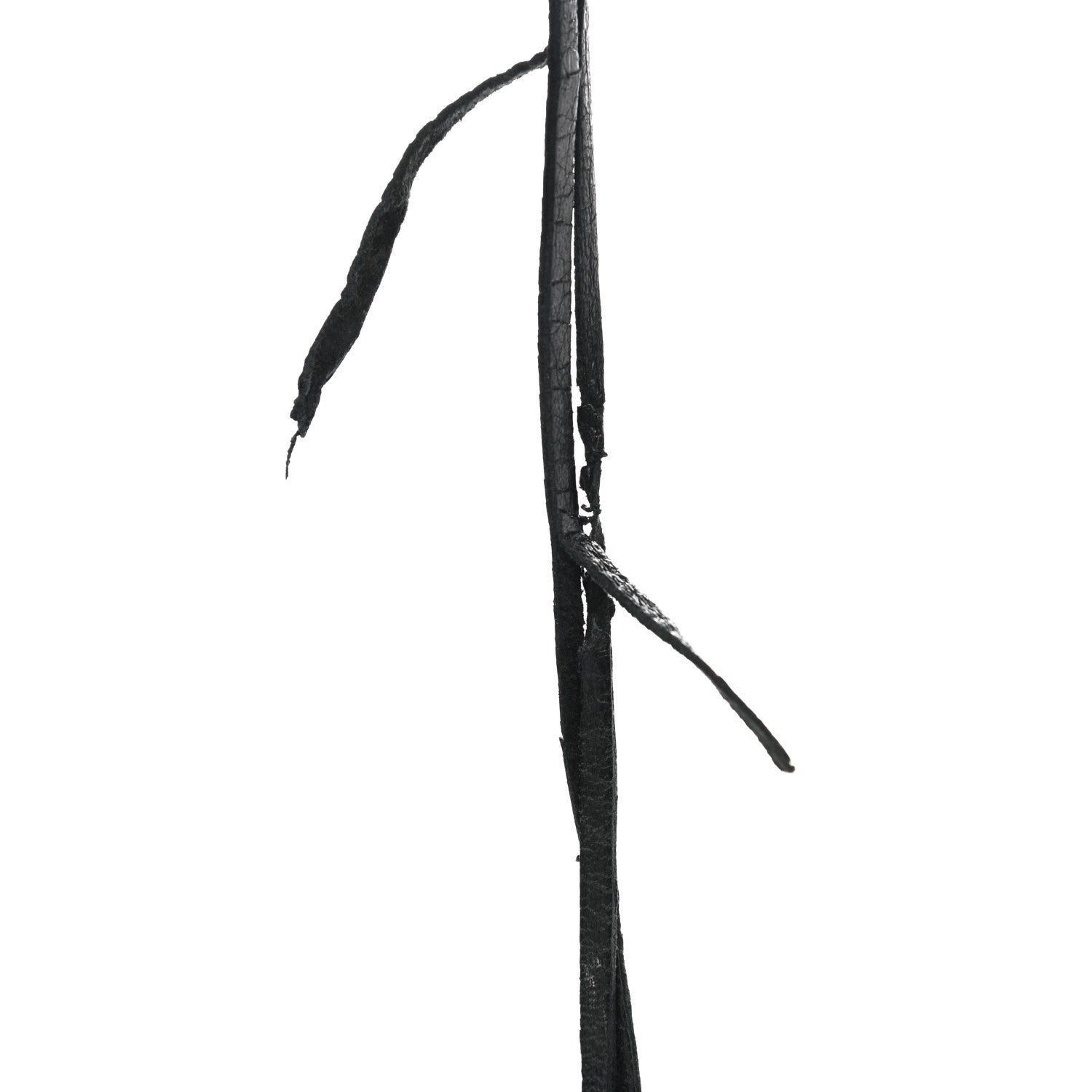 Balenciaga Agneau Classic Hardware S City Black 11 of 11