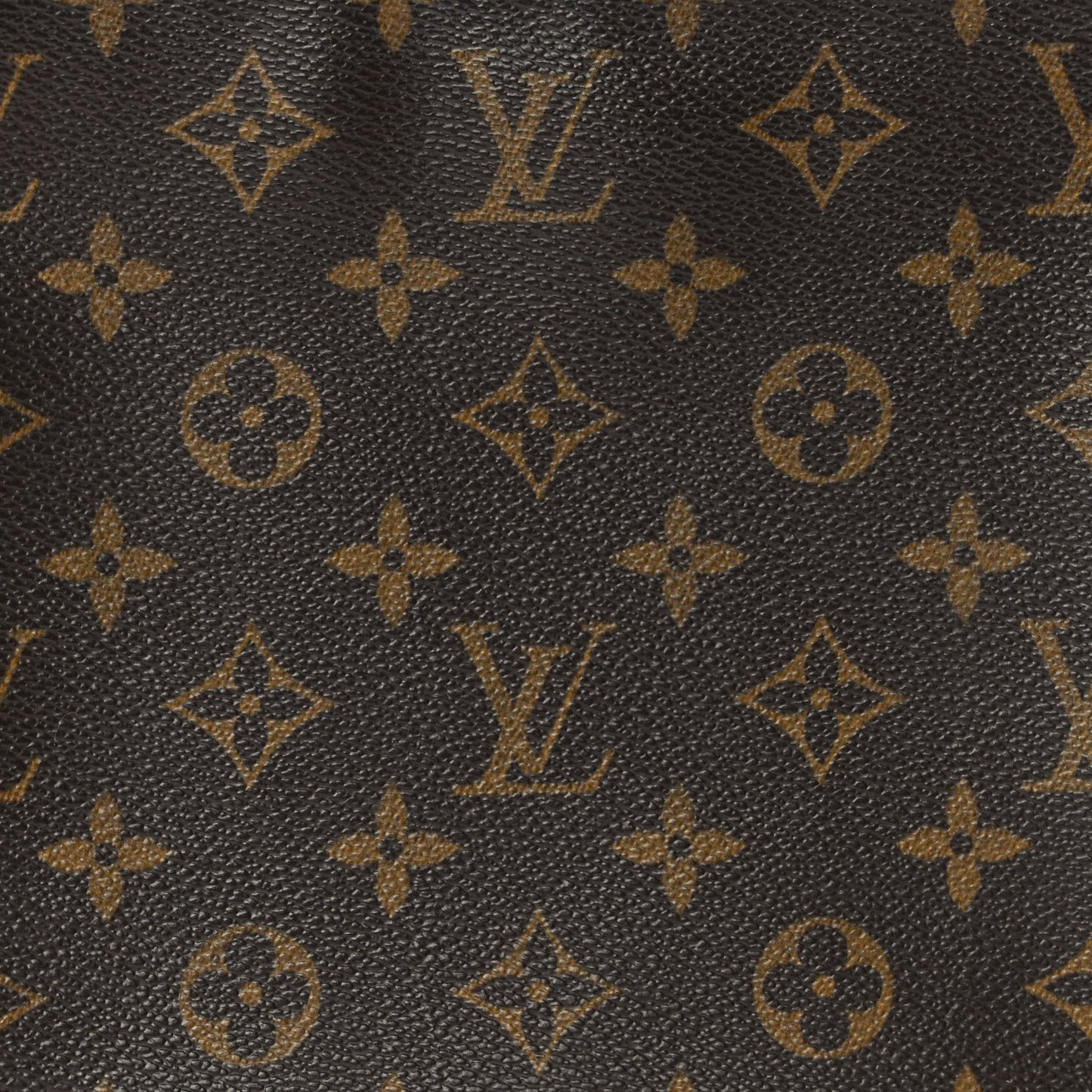 Monogram Looping MM