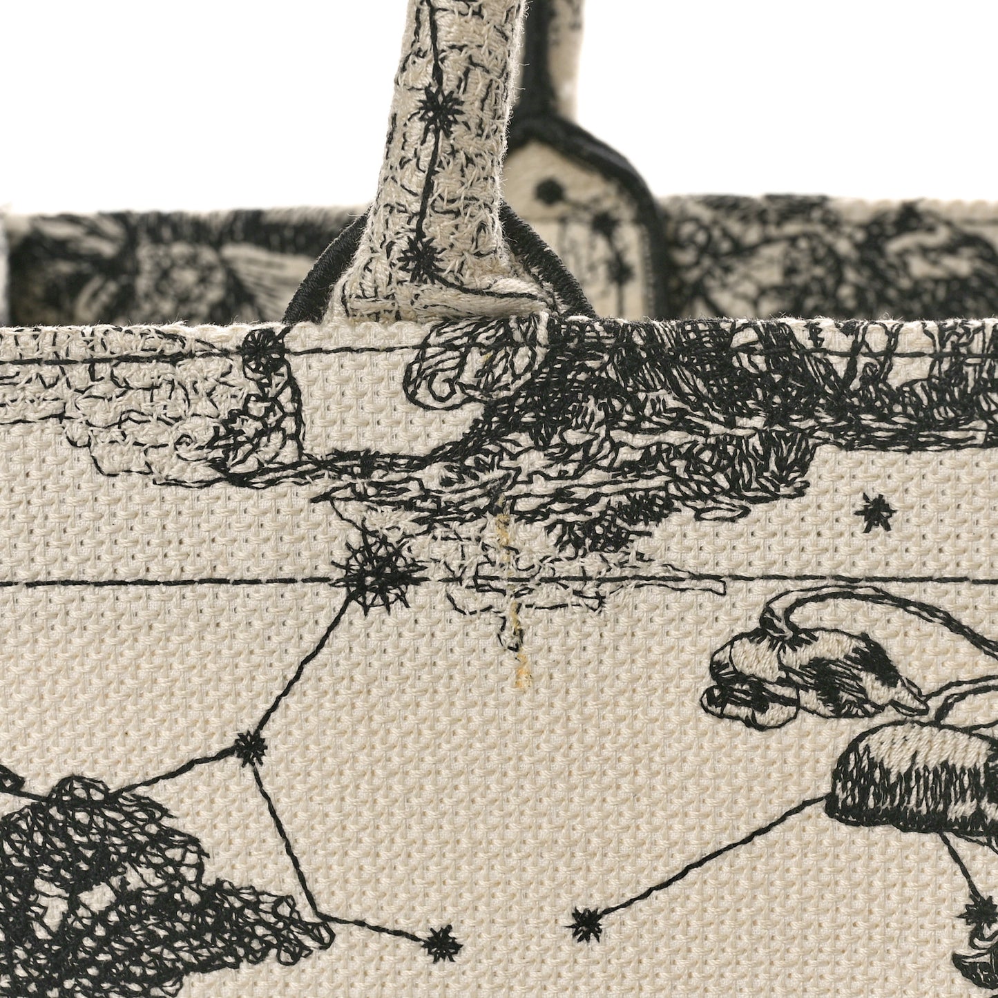 Canvas Embroidered Small Zodiac Toile De Jouy Book Tote Latte