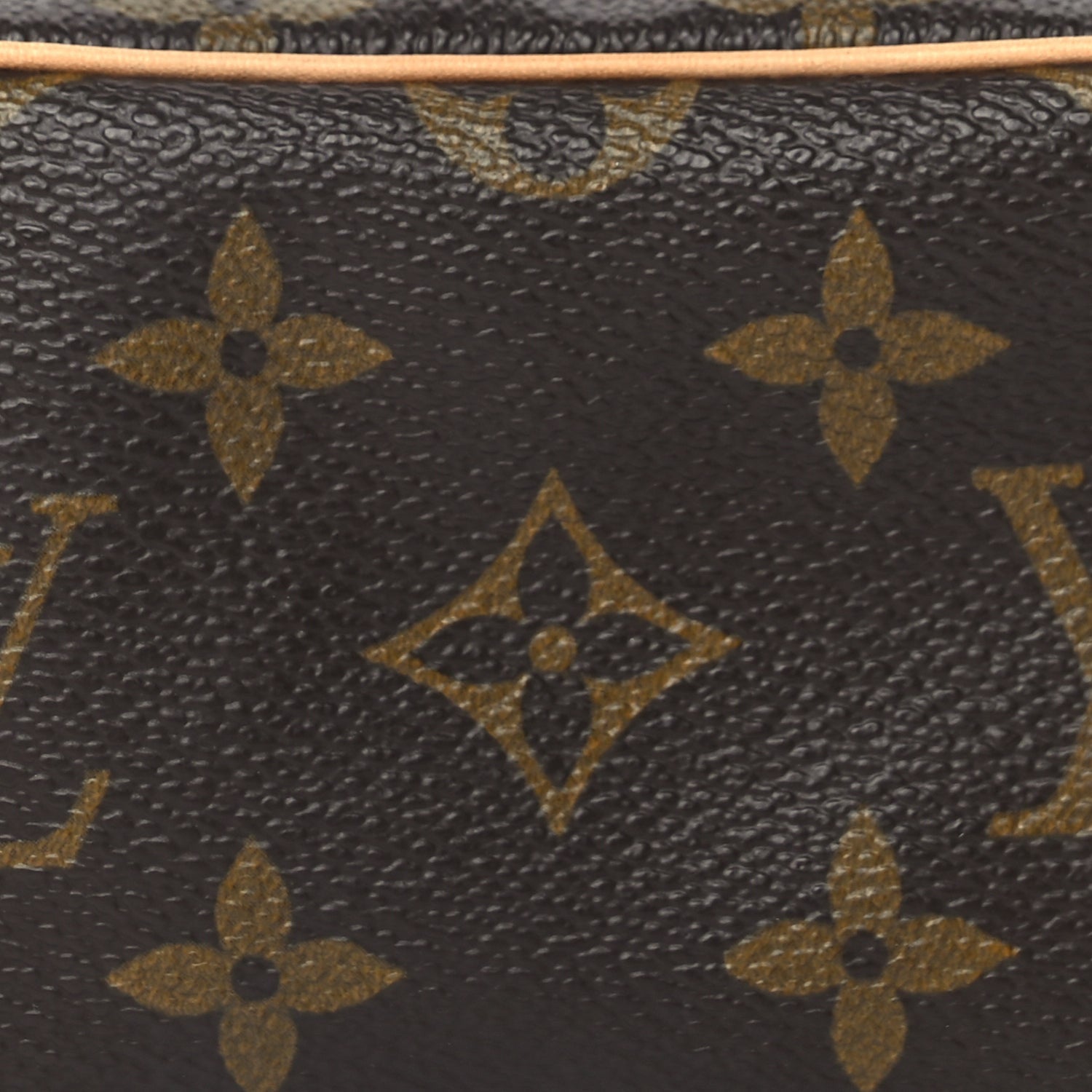 Louis Vuitton Monogram Wapity 6 of 8