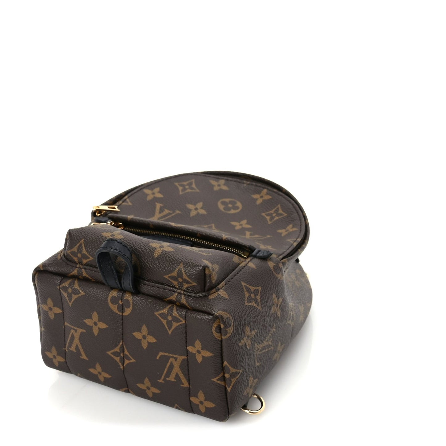 Monogram Palm Springs Backpack Mini Black