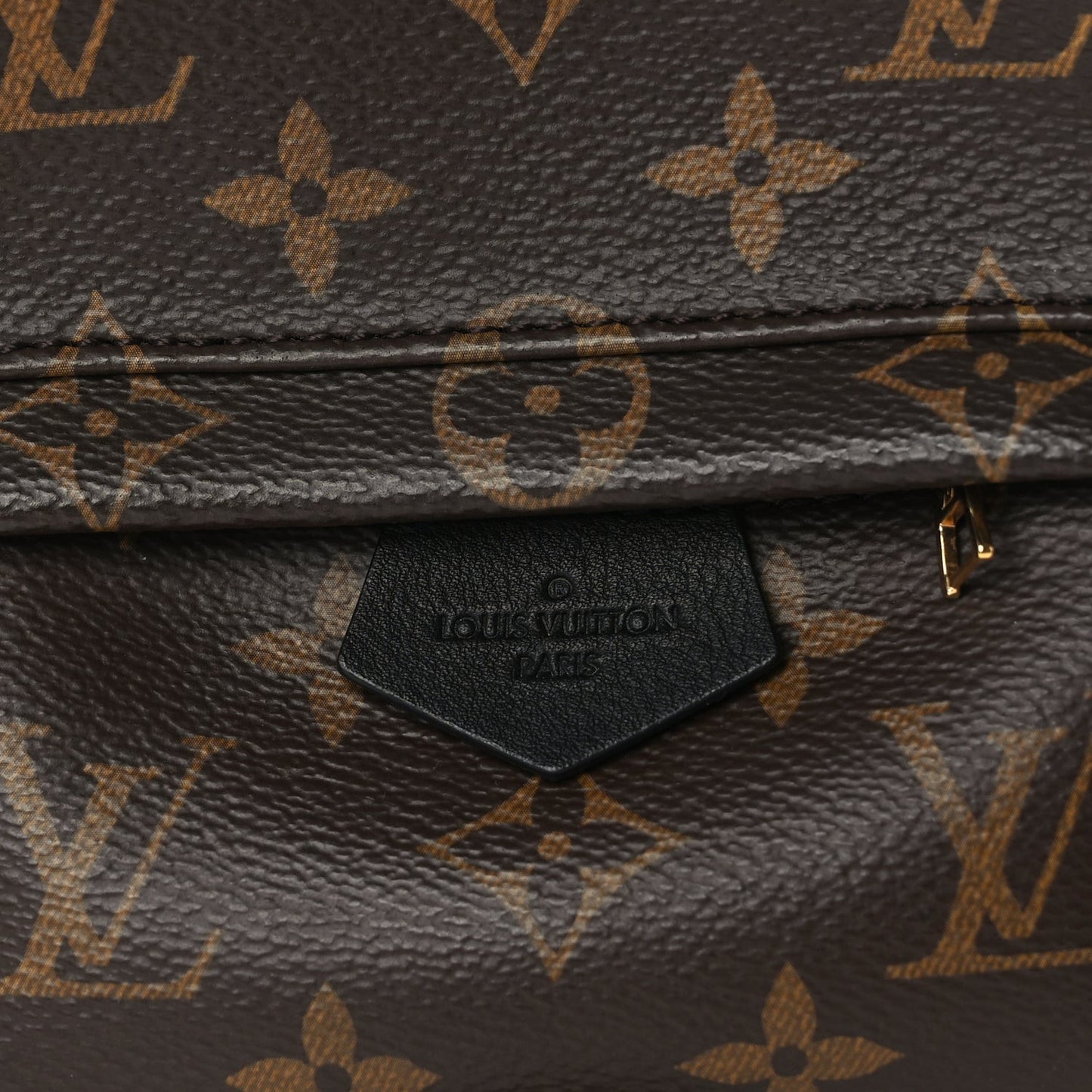Monogram Palm Springs Backpack Mini Black