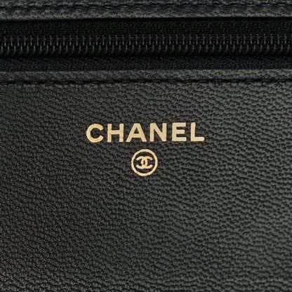 Chanel Goatskin Quilted Quilted Like A Wallet Wallet On Chain WOC Black 6 of 13