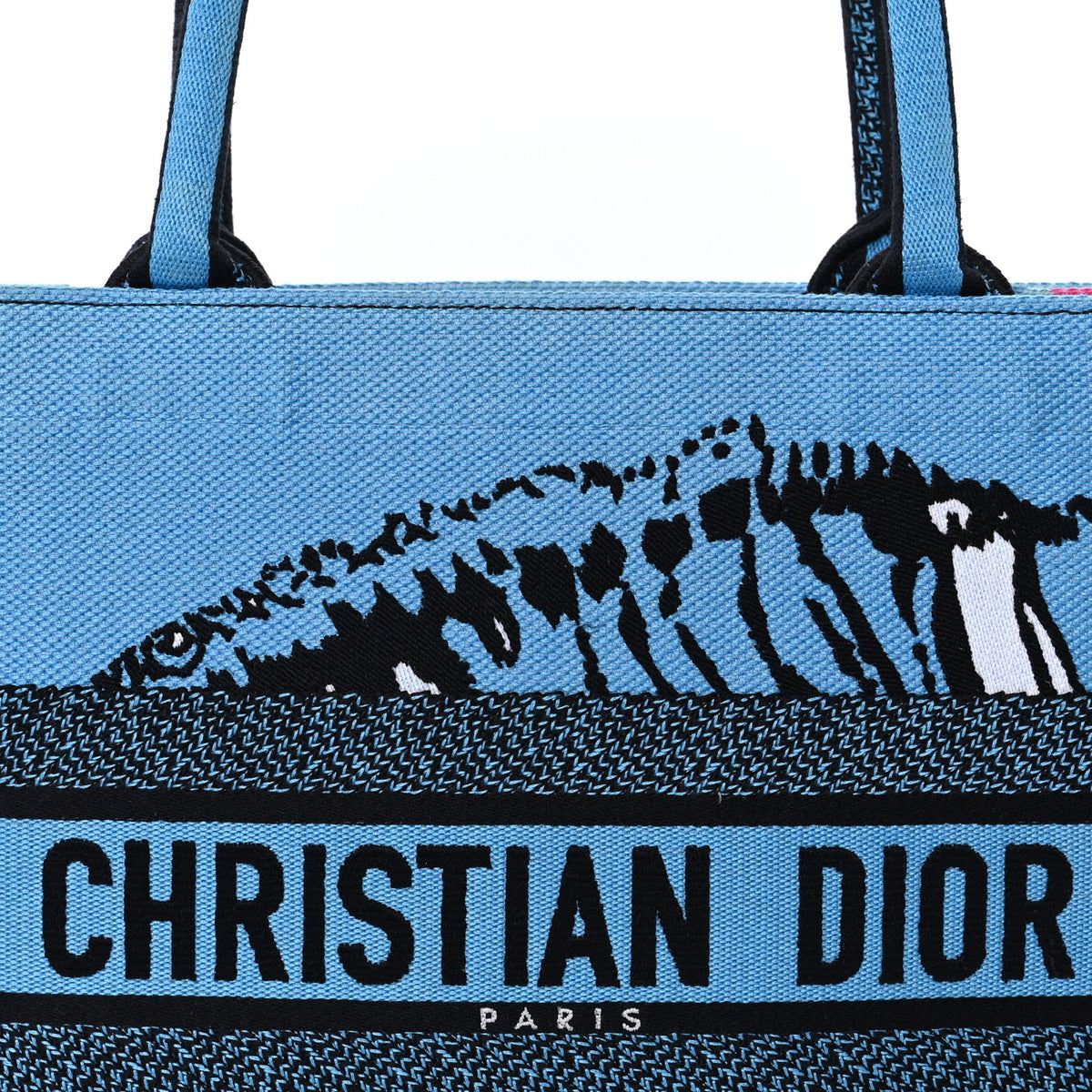 Christian Dior Canvas Embroidered Medium Jungle Pop Book Tote Blue Multicolor 6 of 8