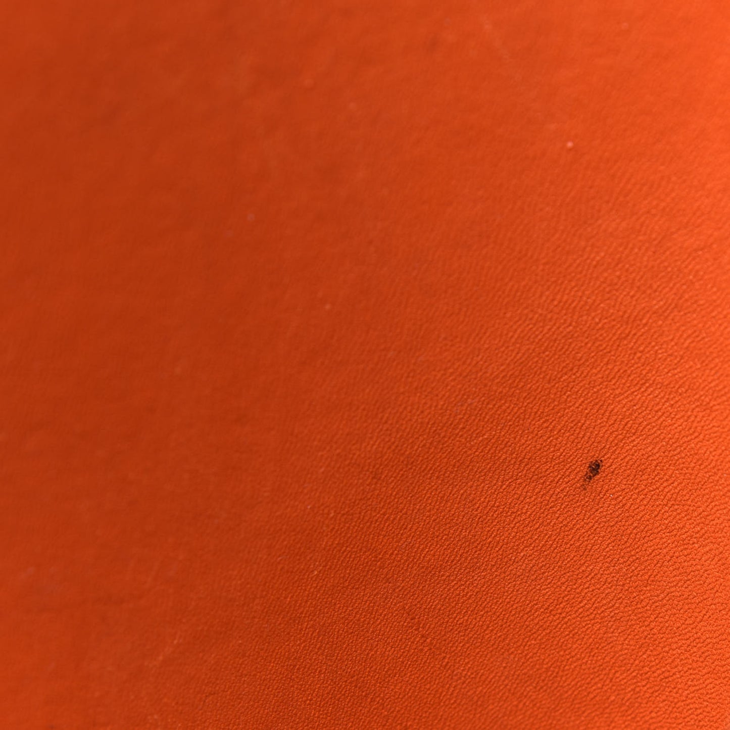 Saffiano Cuir Medium Double Bag Noisette Papaya