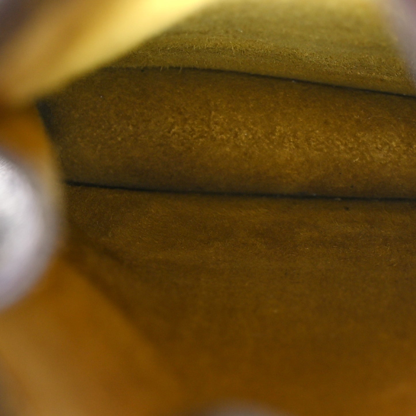 Monogram Sunglasses Case