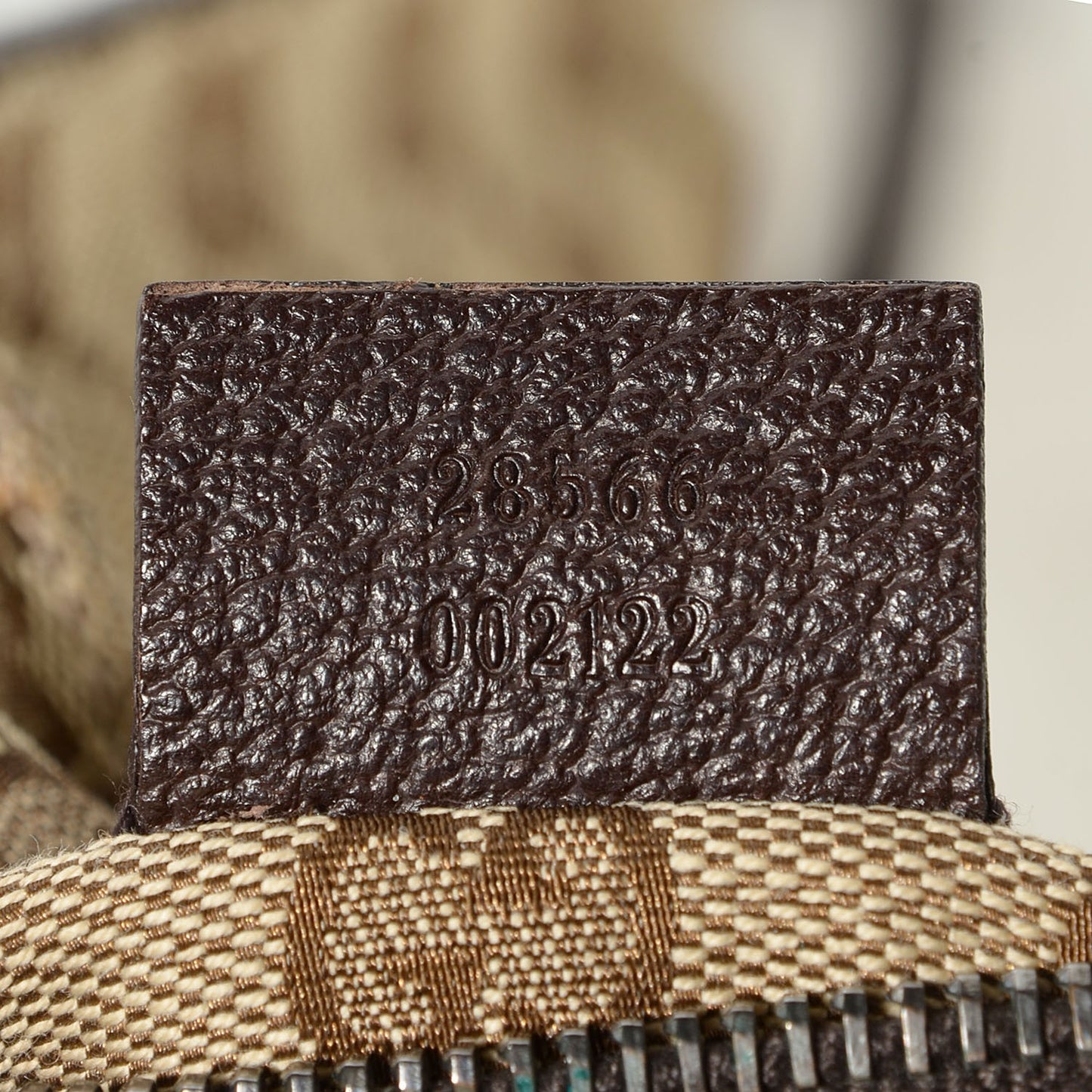 Monogram Web Belt Bag Dark Brown