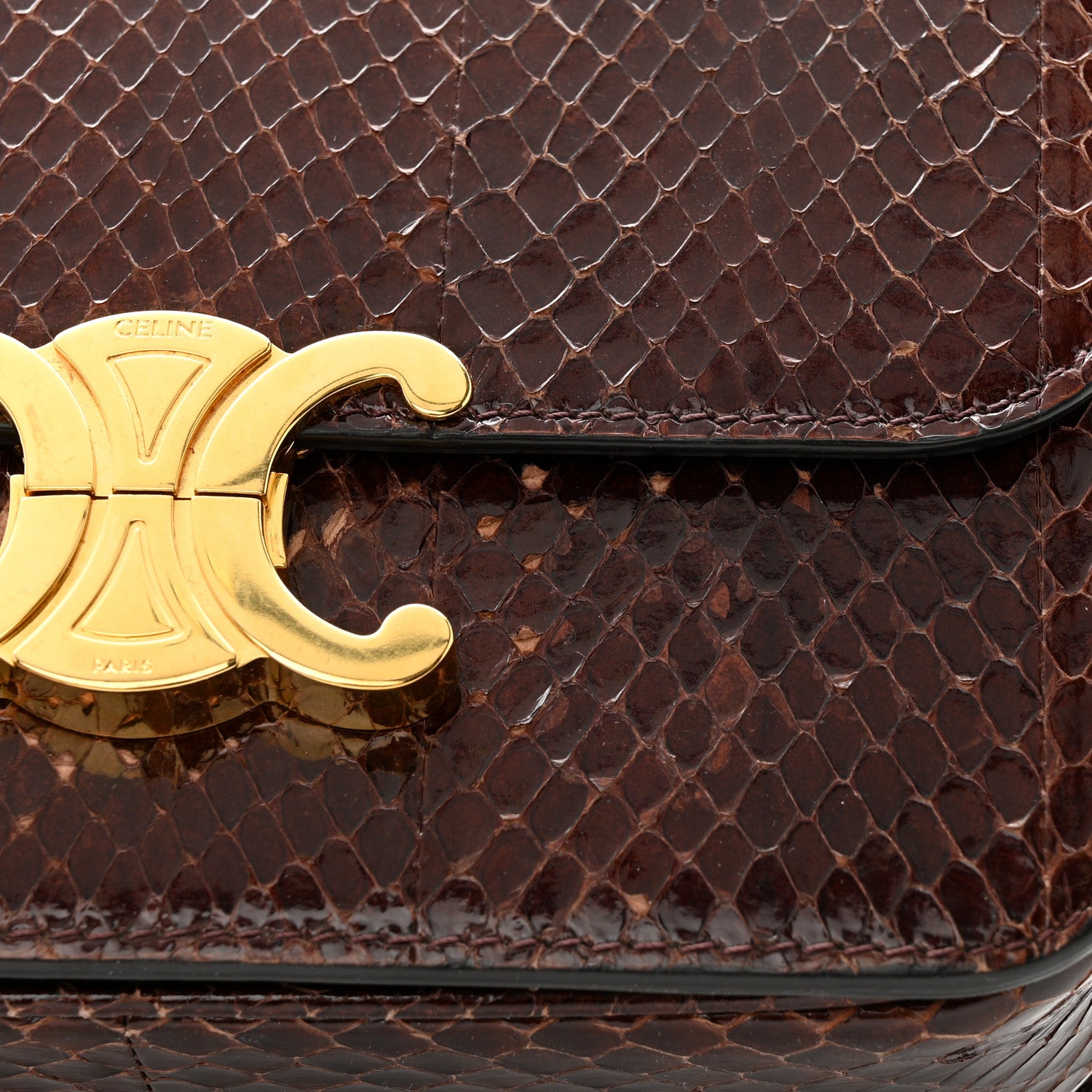 Celine Watersnake Teen Triomphe Brown 14 of 16