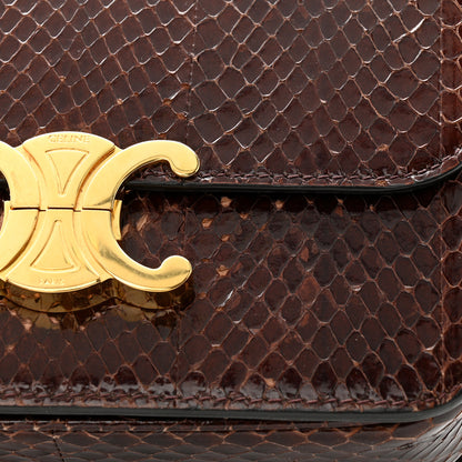 Celine Watersnake Teen Triomphe Brown 14 of 16