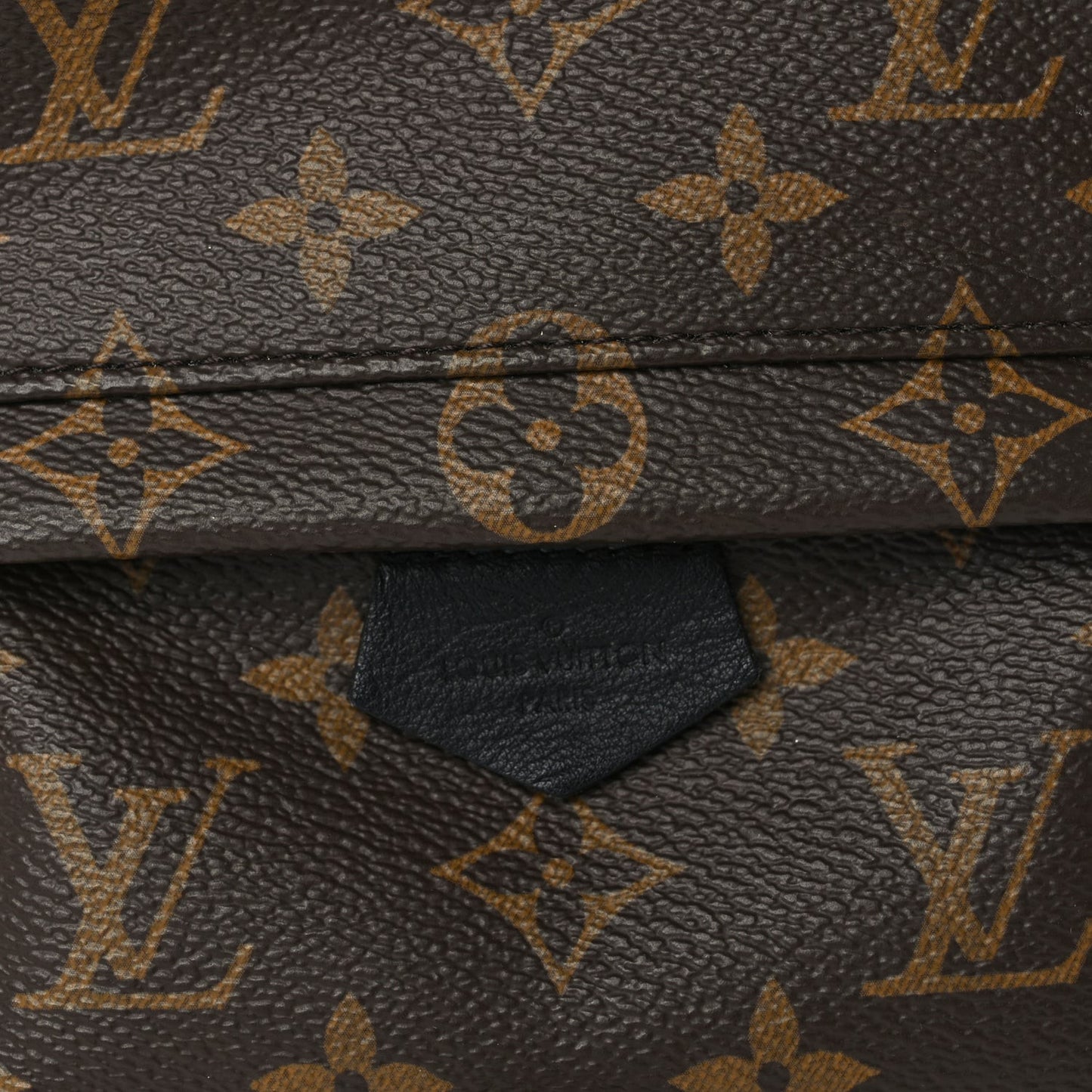 Monogram Palm Springs Backpack Mini Black