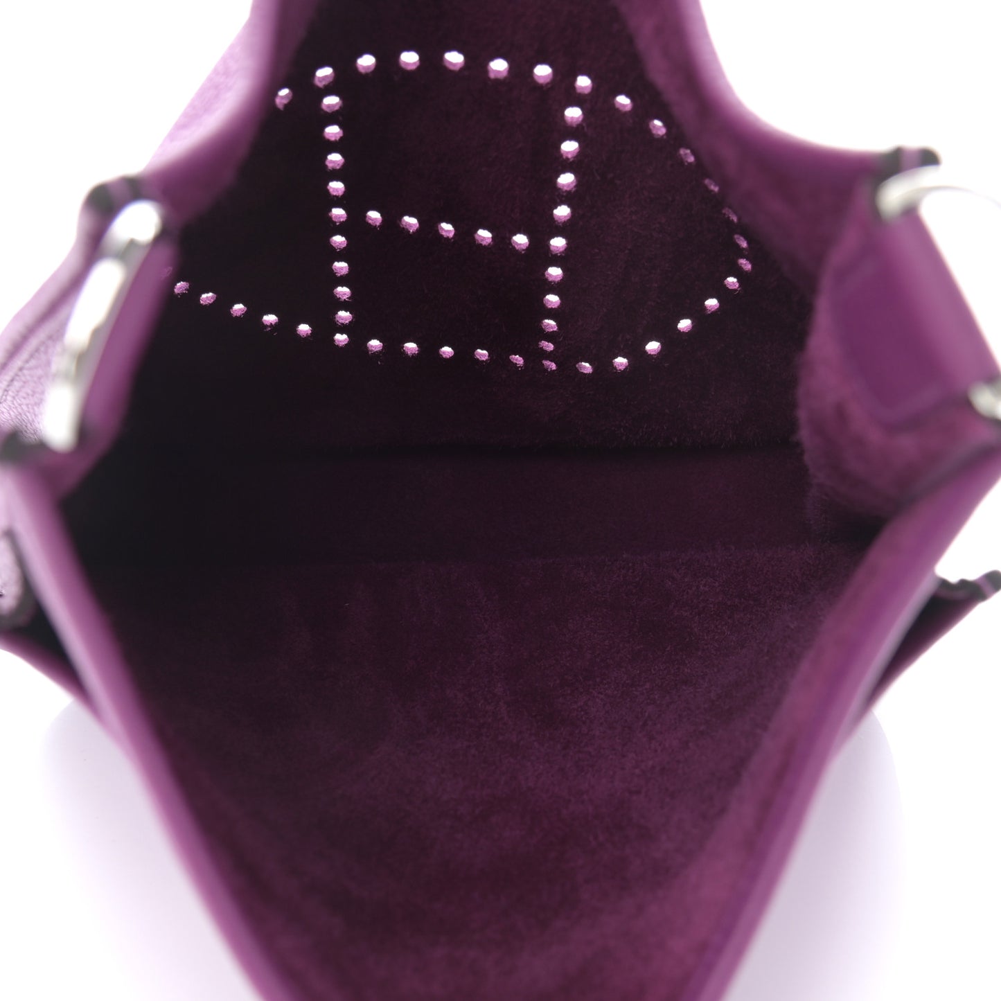 Taurillon Clemence Evelyne III PM Anemone