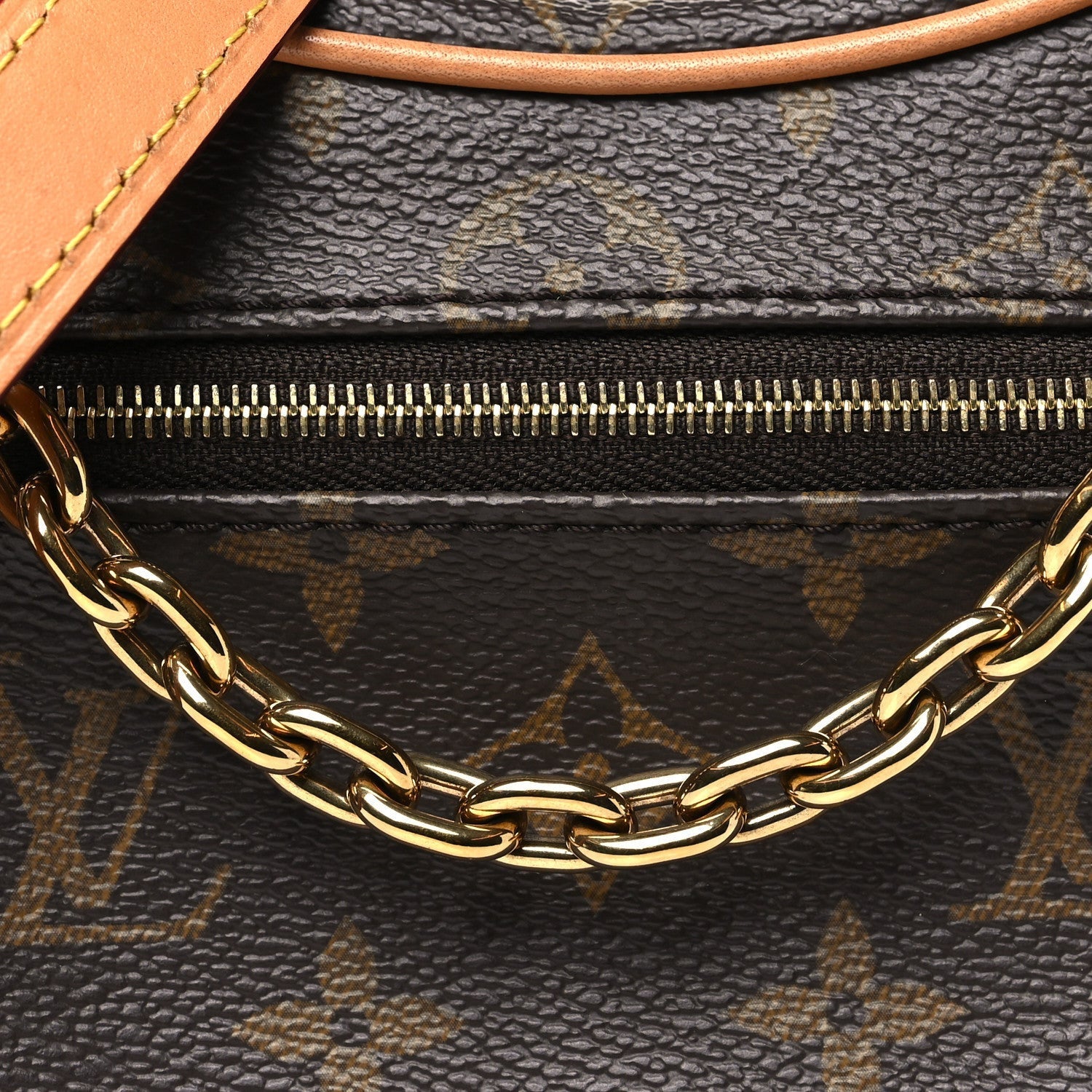 Louis Vuitton Monogram Loop 7 of 7