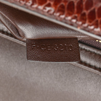 Celine Watersnake Teen Triomphe Brown 8 of 16