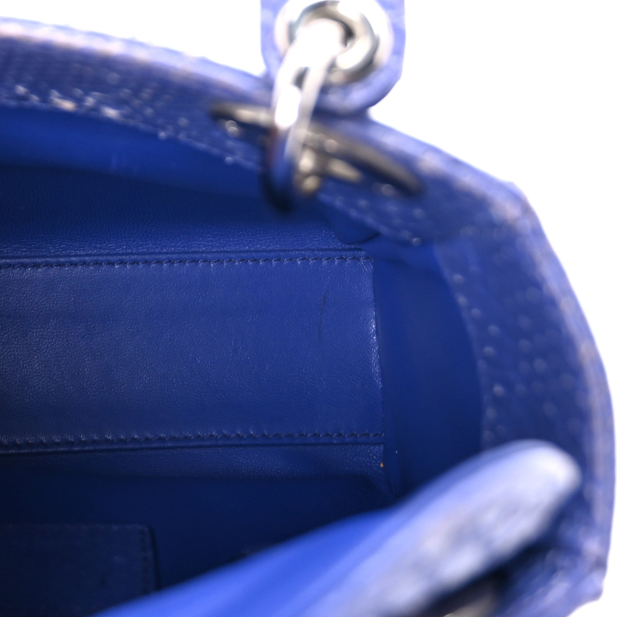 Python Mini Lady Dior Blue