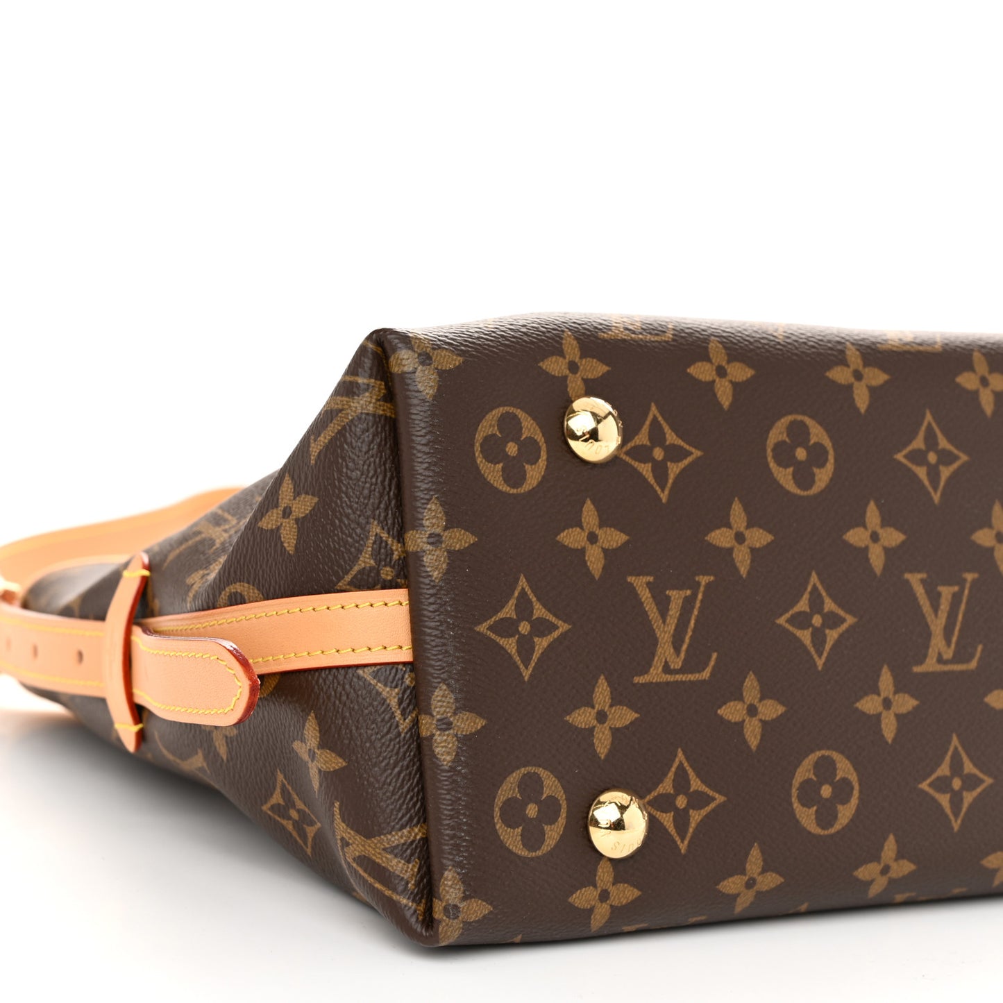 Monogram CarryAll PM