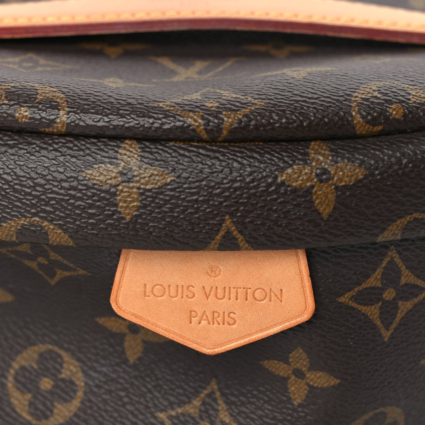 Monogram Bumbag