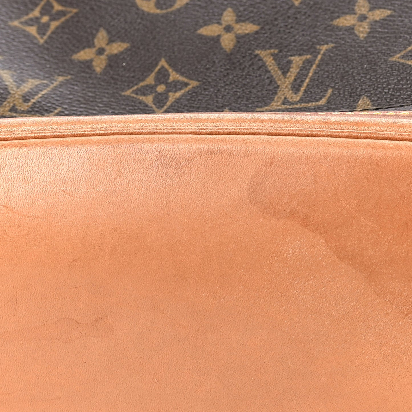 Monogram Montsouris GM Backpack