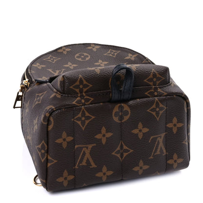 Louis Vuitton Monogram Palm Springs Backpack Mini 3 of 8