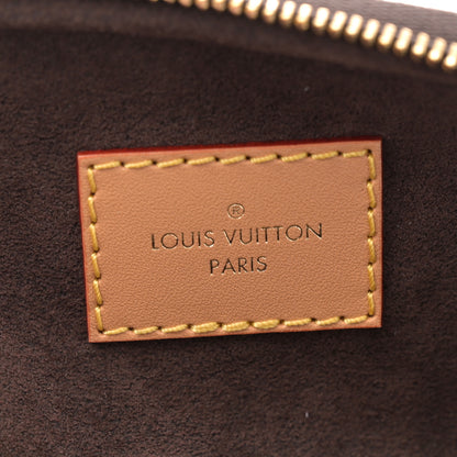 Louis Vuitton Monogram Mini Bumbag 6 of 9