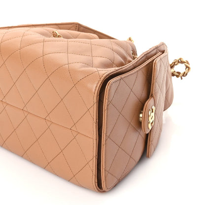 Chanel Caviar Quilted Small  25 Handbag Brown 9 of 9