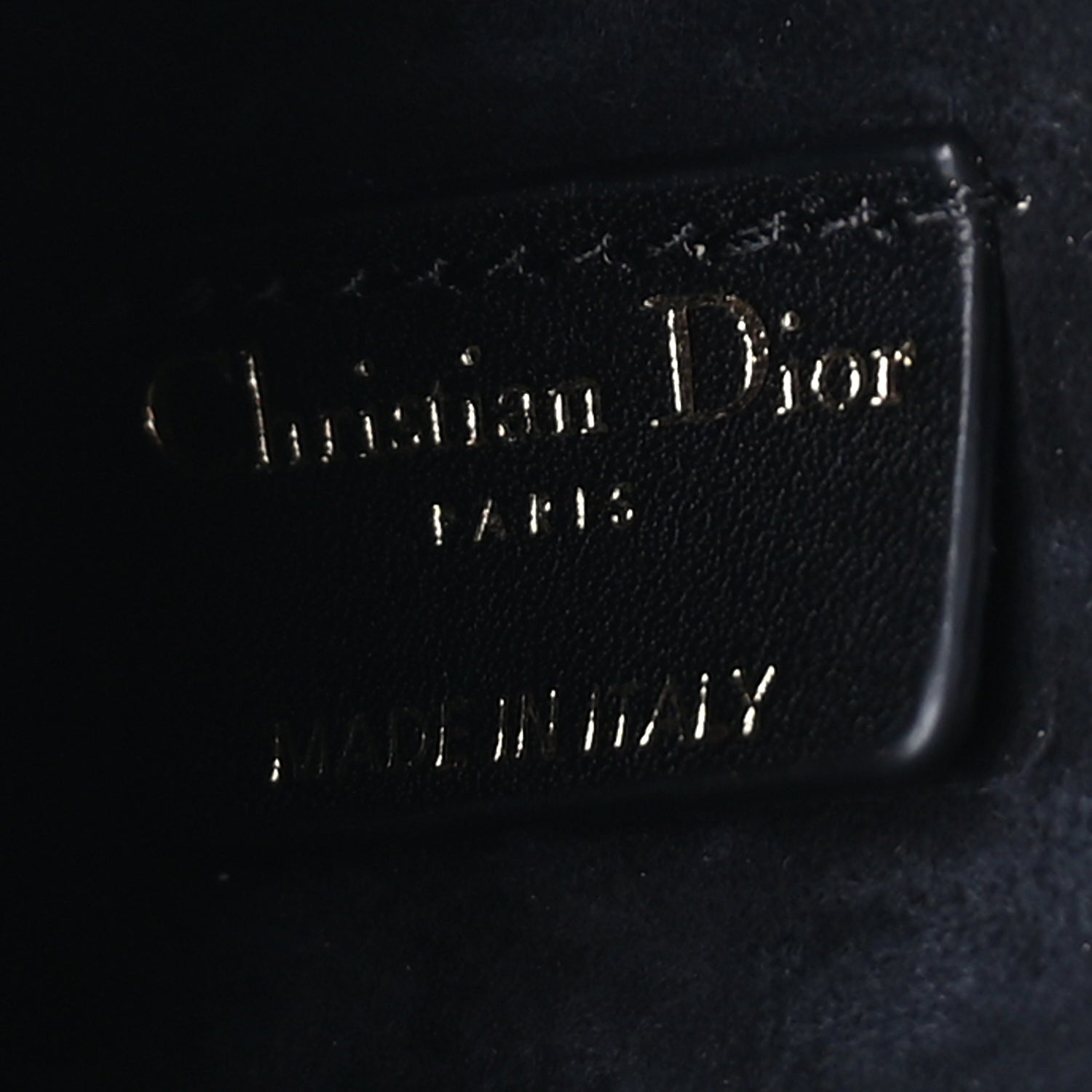 Christian Dior Calfskin Embossed Jardin Botanique Micro Vanity Case Black 5 of 7