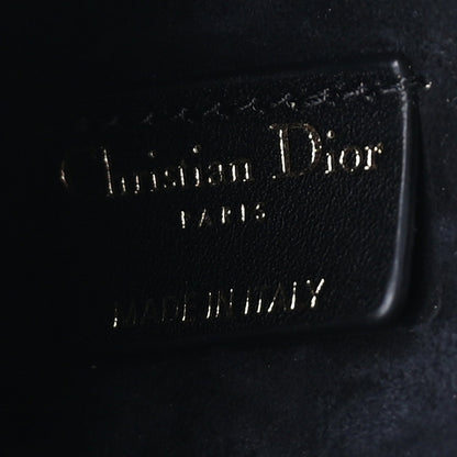 Christian Dior Calfskin Embossed Jardin Botanique Micro Vanity Case Black 5 of 7