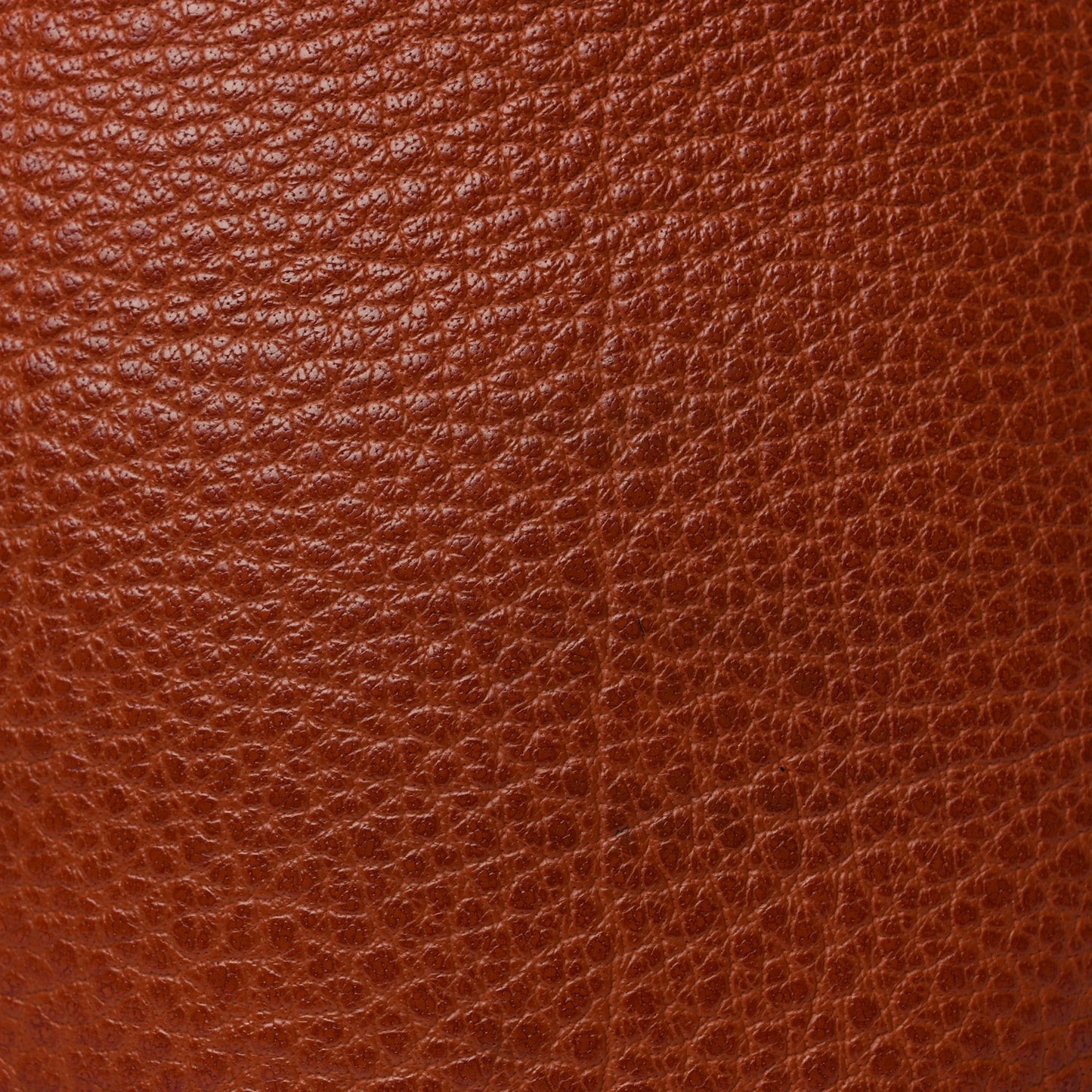 Buffle Skipper Birkin 35 Noisette