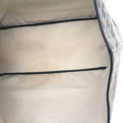 Goyard Goyardine Saint Louis PM Black 6 of 14