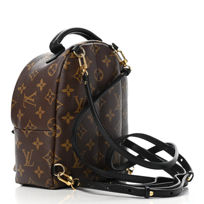 Louis Vuitton Monogram Palm Springs Backpack Mini 2 of 6