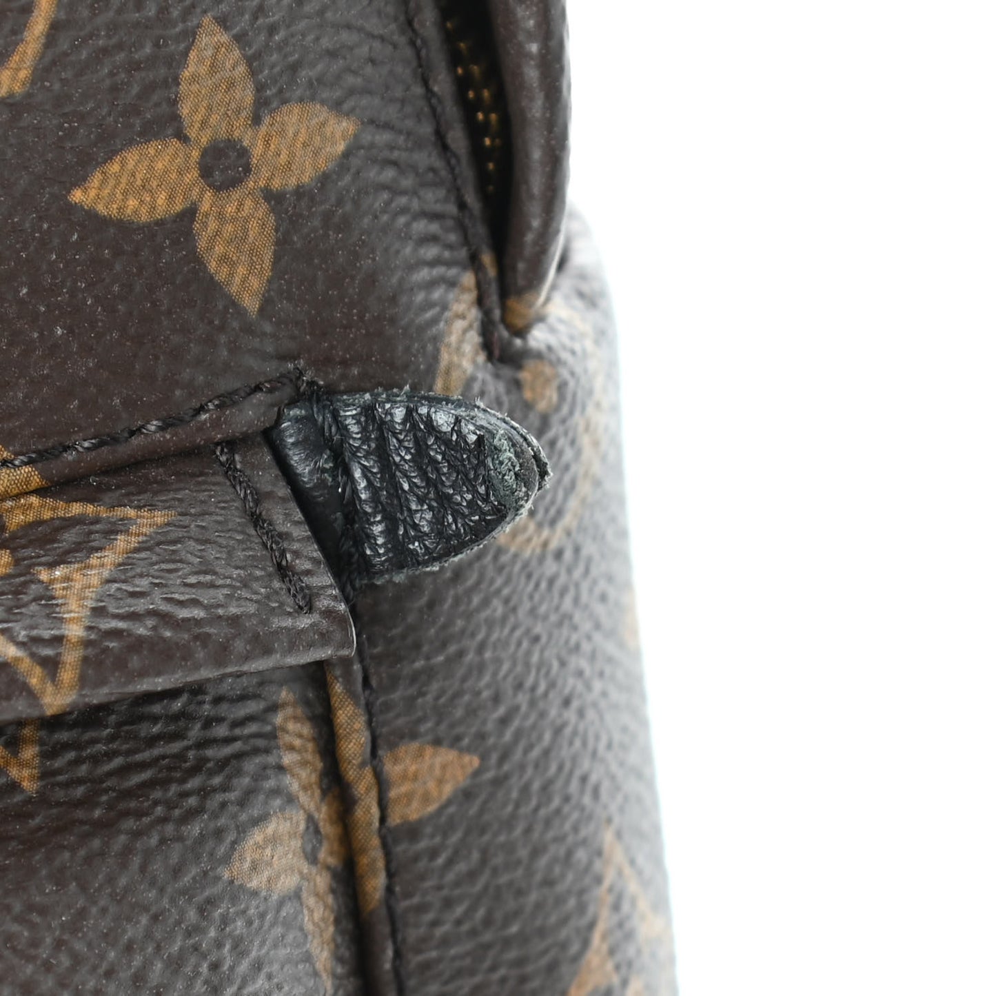 Monogram Palm Springs Backpack Mini