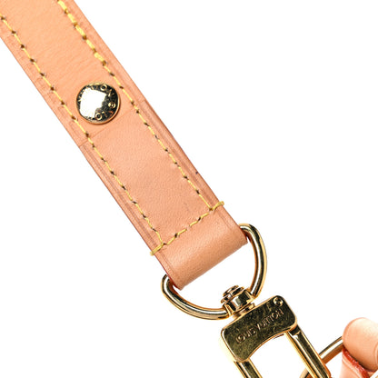 Louis Vuitton Monogram Loop 13 of 14