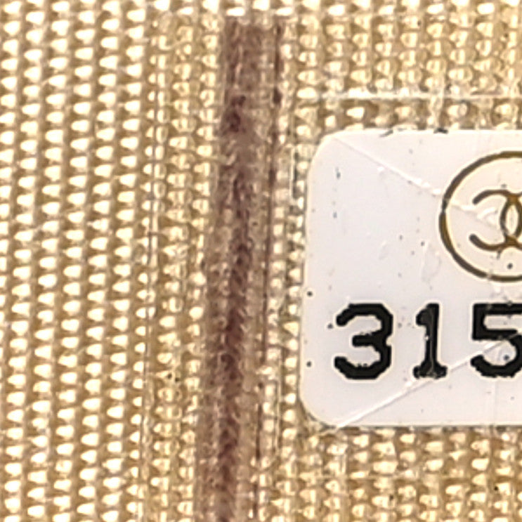 Chanel Lambskin Quilted Small Pearl Crush Vanity Case With Chain  Green 8 of 12