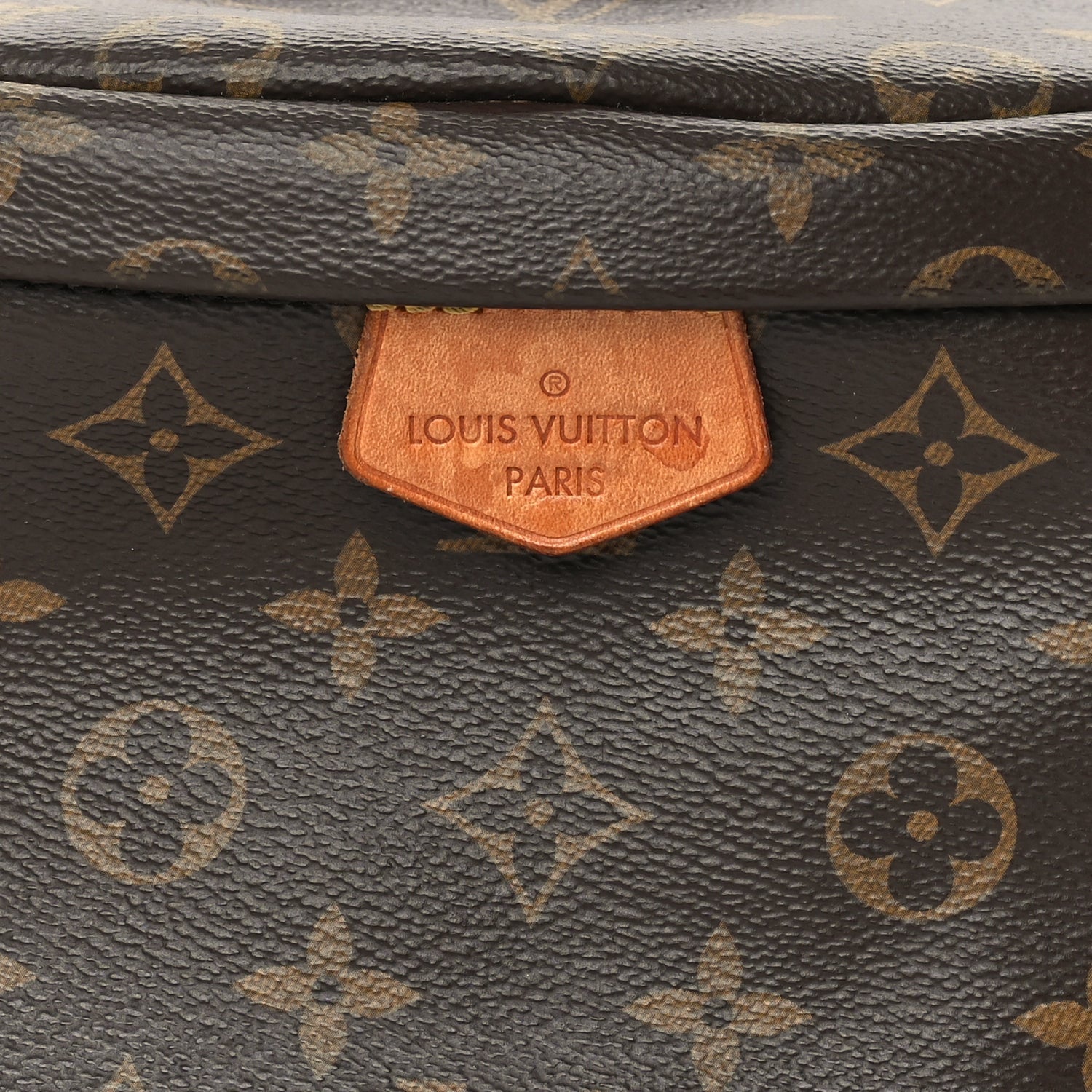 Louis Vuitton Monogram Bumbag 6 of 8