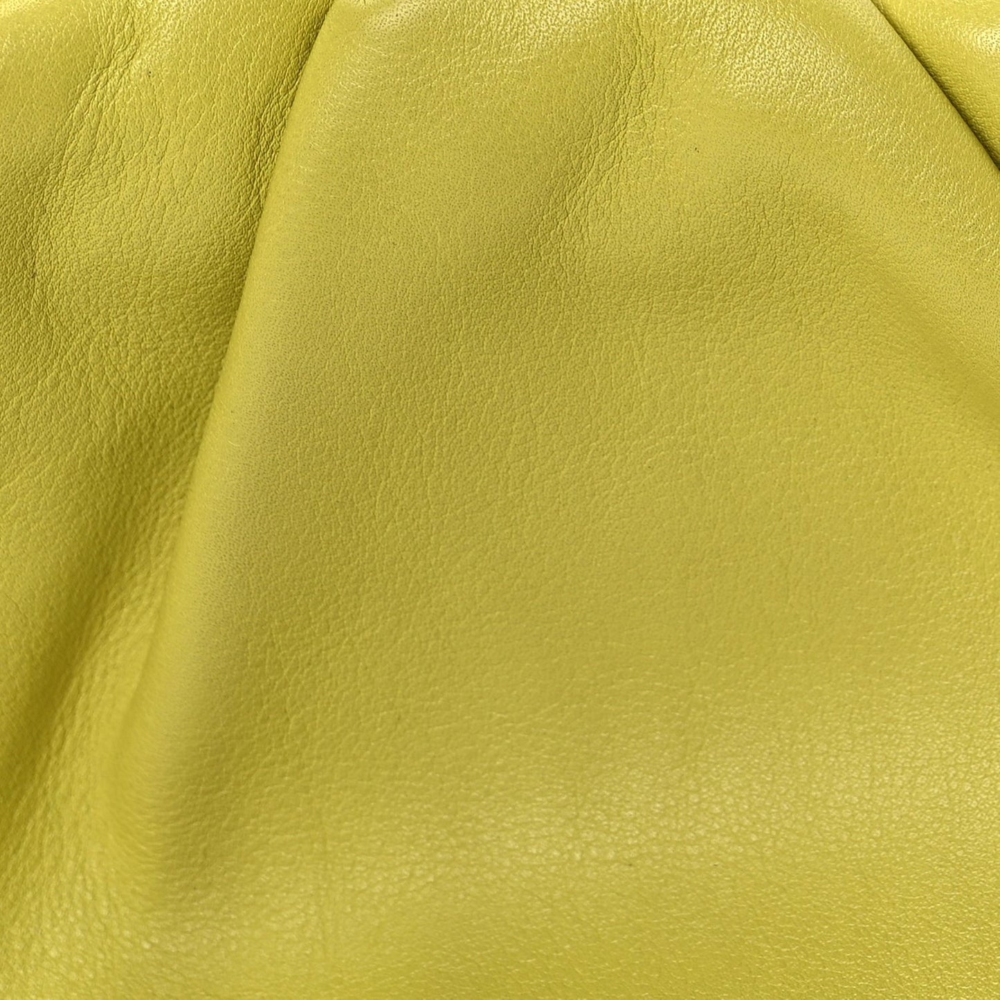 Butter Calfskin The Mini Pouch Kiwi