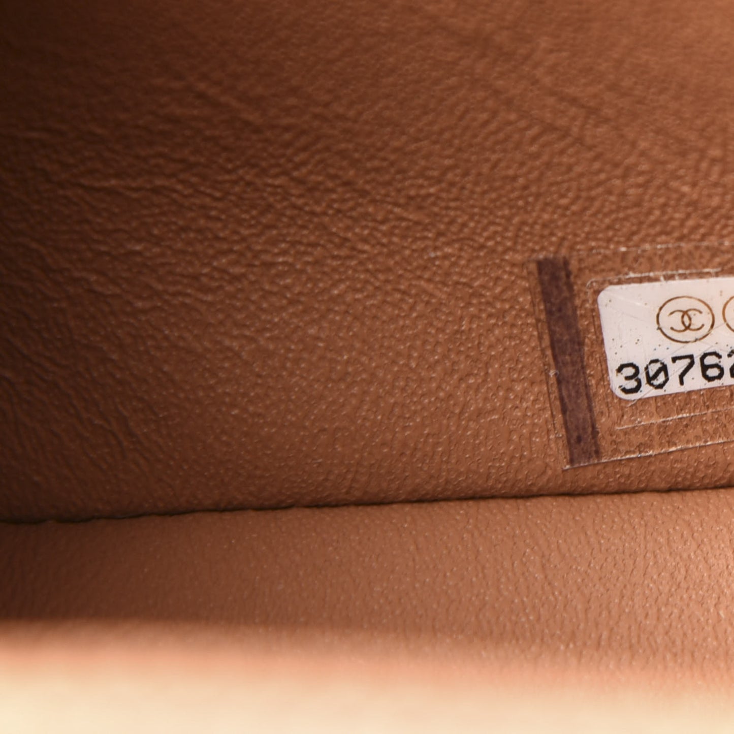 Lambskin Quilted Mini Rectangular Flap Brown