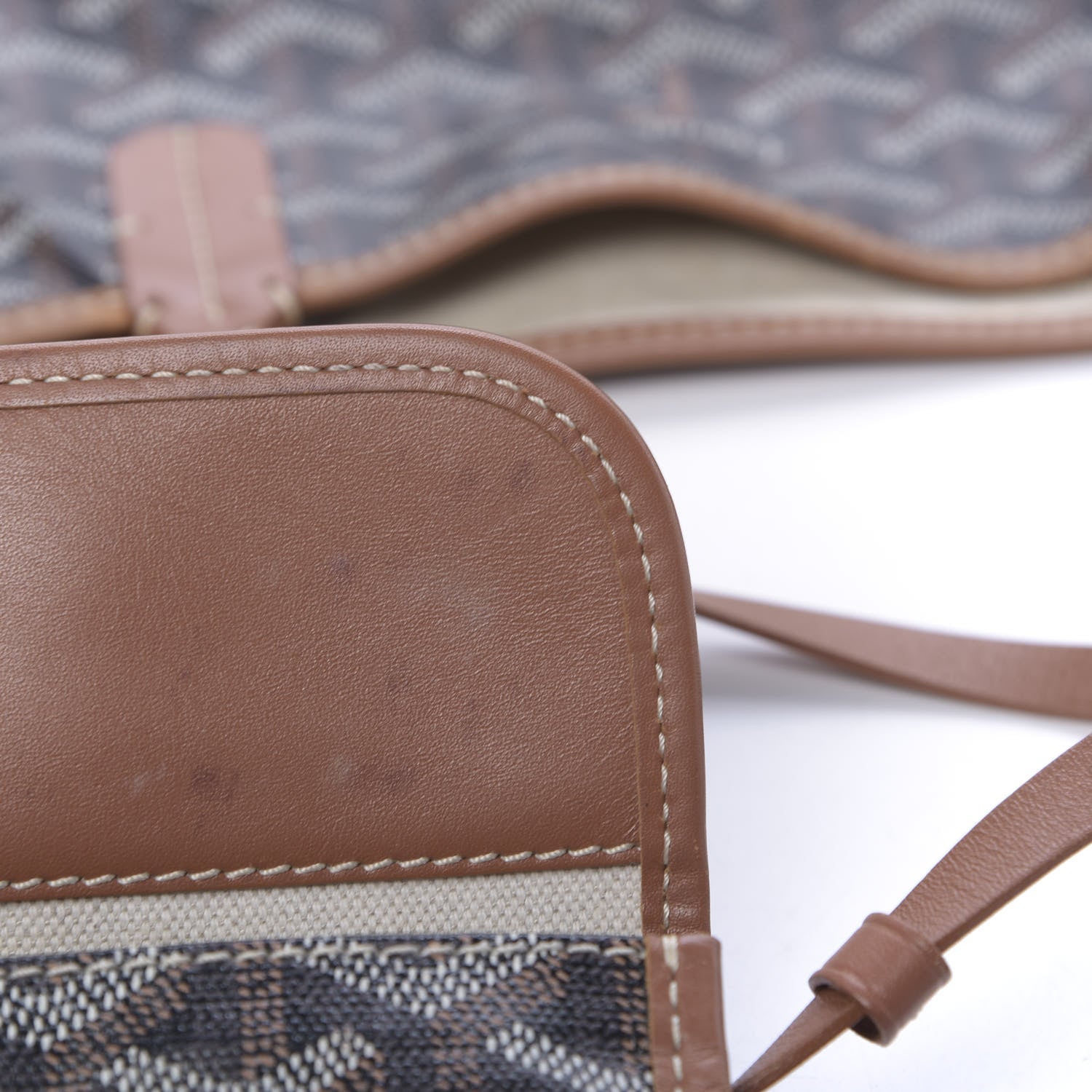 Goyard Goyardine Saint Louis PM Black Gold 14 of 18