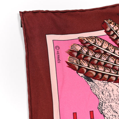 Hermes Silk Pani La Shar Pawnee Scarf 90 4 of 5