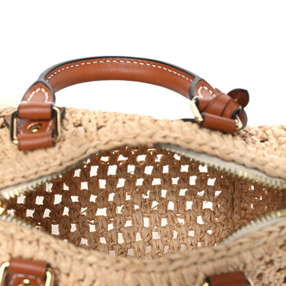 Louis Vuitton Raffia Nano Speedy Natural Tan 4 of 8